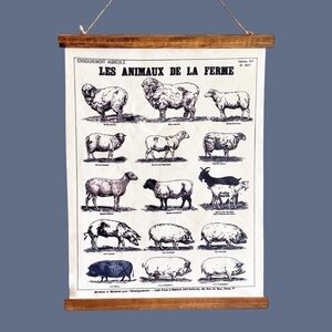 Vintage Deyrolle French Farm Animals Educational Wall Chart – Farmhouse Kitchen